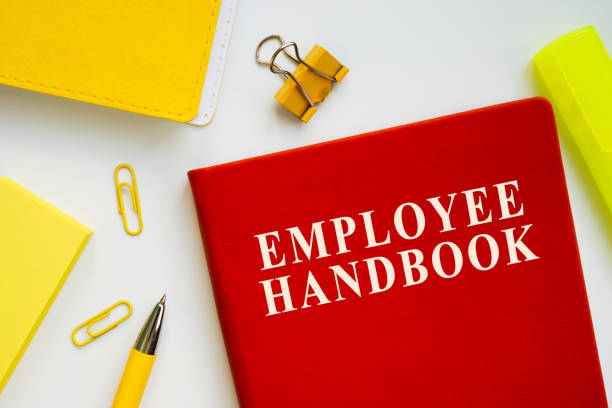 Employability: presentation skills and general vocabulary